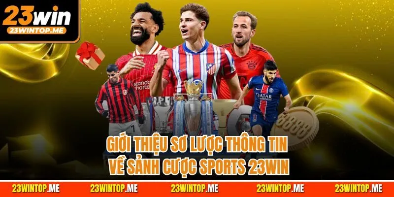 Giới thiệu sơ lược thông tin về sảnh cược Sports 23Win
