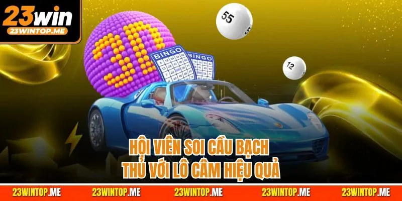 Hội viên soi cầu bạch thủ với lô câm hiệu quả