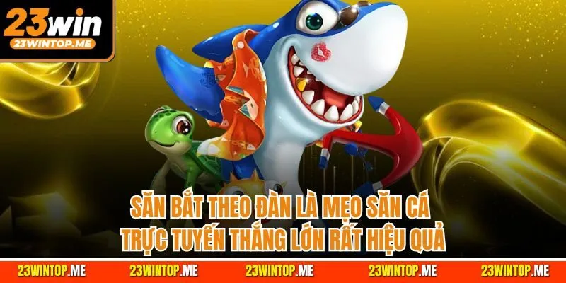 Săn bắt theo đàn là mẹo săn cá trực tuyến thắng lớn rất hiệu quả